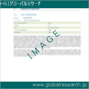 グローバルリサーチ調査レポートのイメージ